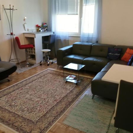 Citty Aparttment Apartment ซาลซ์บูร์ก ภายนอก รูปภาพ